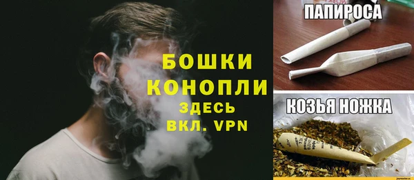 стаф Богородск