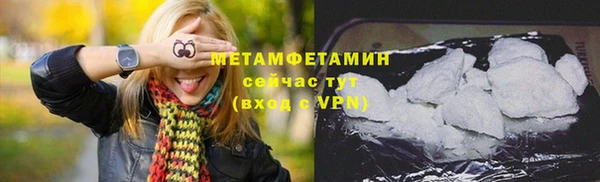 ГАЛЛЮЦИНОГЕННЫЕ ГРИБЫ Богданович