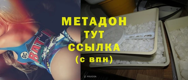 ГАЛЛЮЦИНОГЕННЫЕ ГРИБЫ Богданович