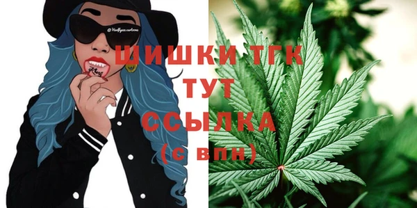 стаф Богородск