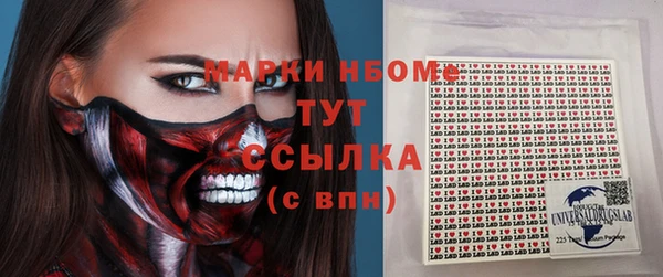 стаф Богородск