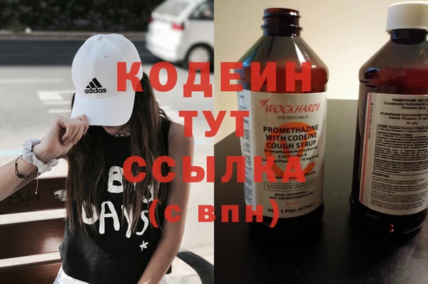 ГАЛЛЮЦИНОГЕННЫЕ ГРИБЫ Богданович