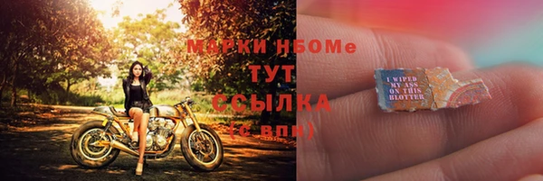 ГАЛЛЮЦИНОГЕННЫЕ ГРИБЫ Богданович