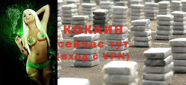 ГАЛЛЮЦИНОГЕННЫЕ ГРИБЫ Богданович
