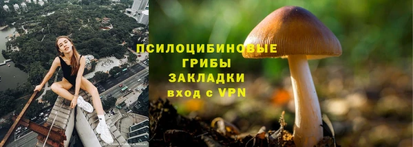 ГАЛЛЮЦИНОГЕННЫЕ ГРИБЫ Богданович